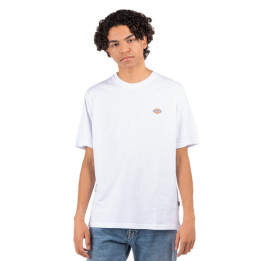 Dickies Mapleton - sneakersconcept-pvz.pt