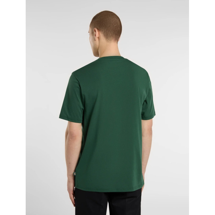 Dickies Mapleton - sneakersconcept-pvz.pt