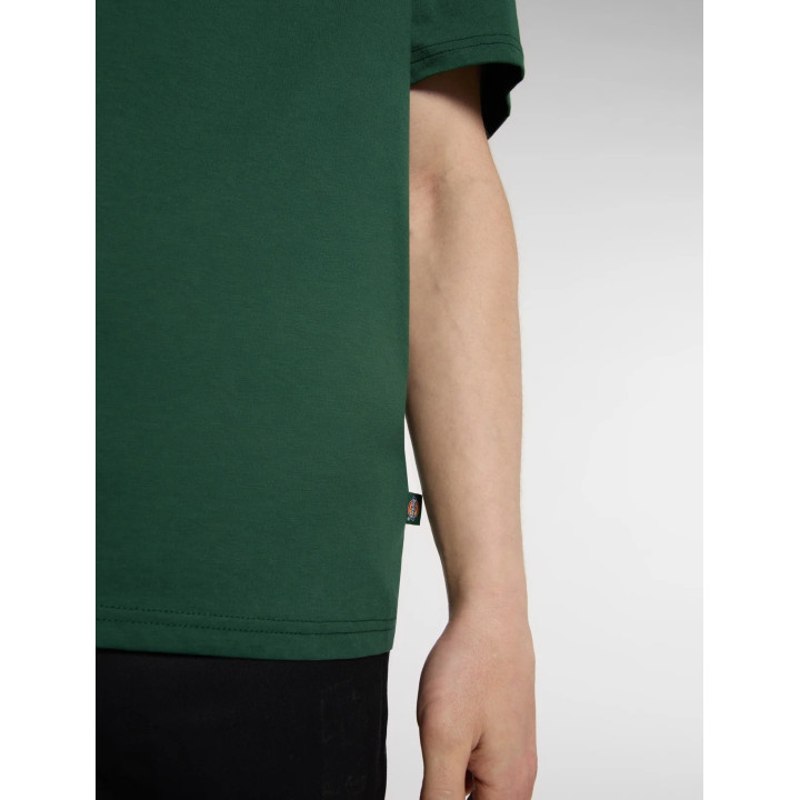Dickies Mapleton - sneakersconcept-pvz.pt