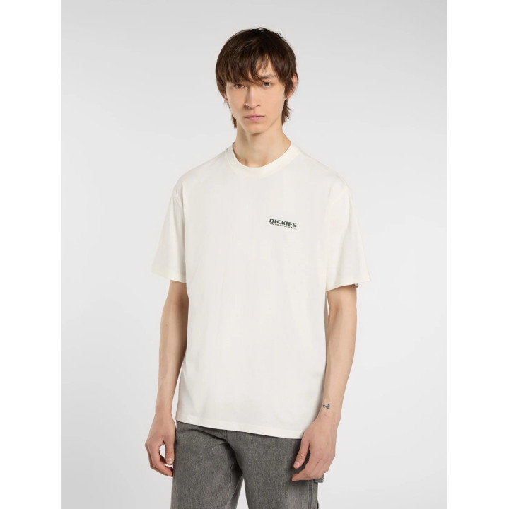 Dickies Burns - sneakersconcept-pvz.pt