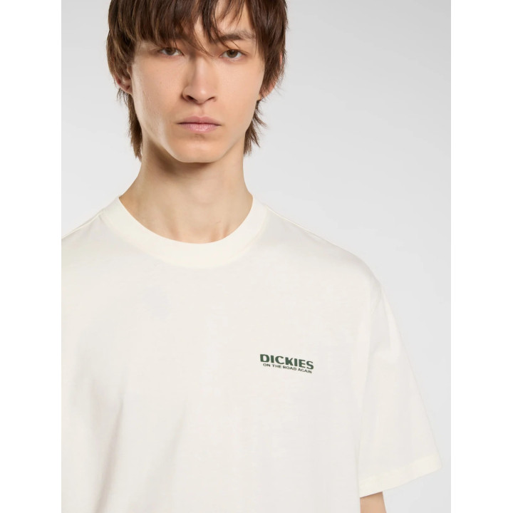 Dickies Burns - sneakersconcept-pvz.pt