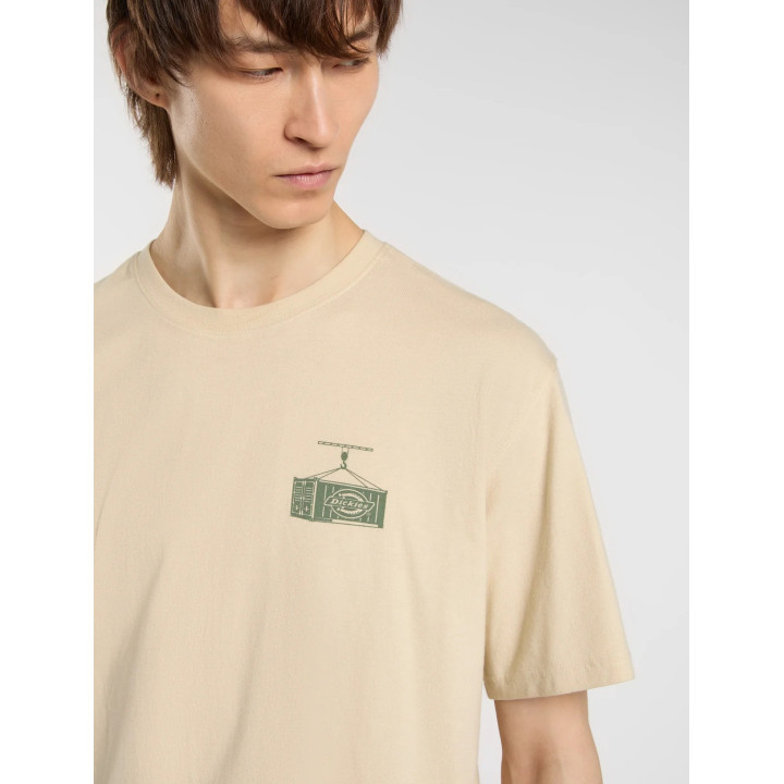 Dickies Apison - sneakersconcept-pvz.pt
