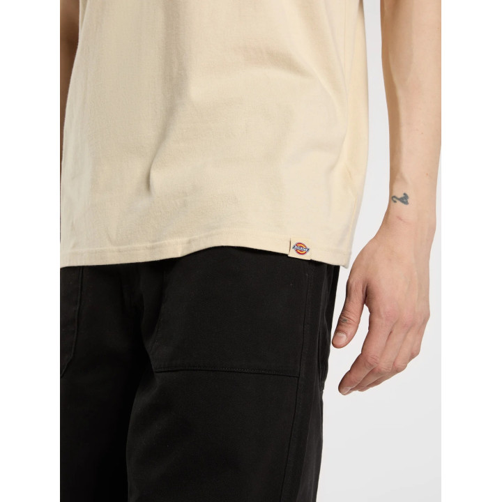Dickies Apison - sneakersconcept-pvz.pt