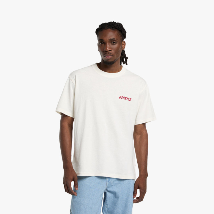 Tshirt Dickies Dry Ridge - sneakersconcept-pvz.pt
