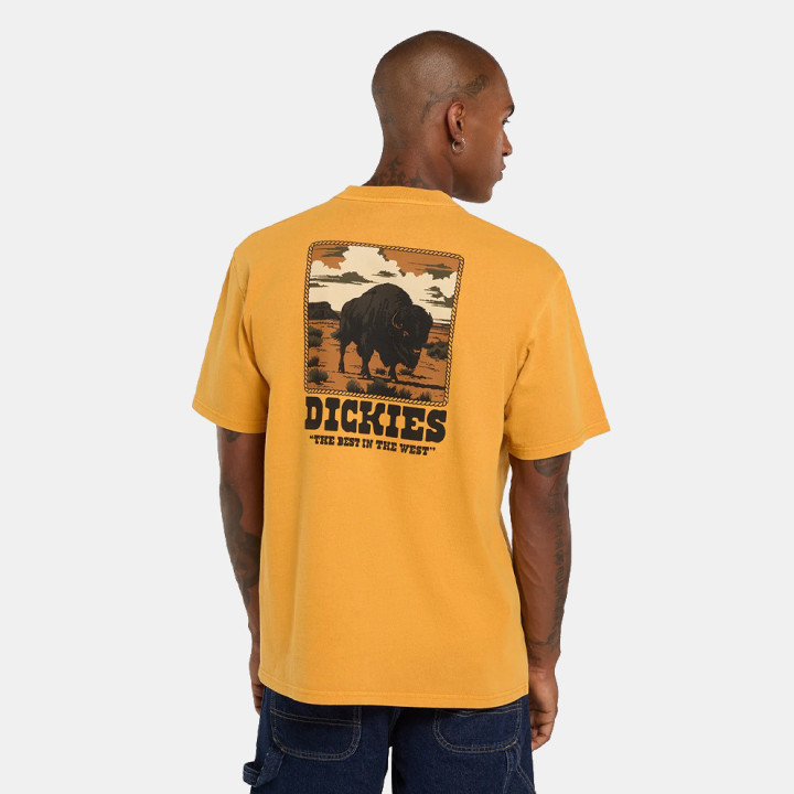 Tshirt Dickies Darrtown - sneakersconcept-pvz.pt