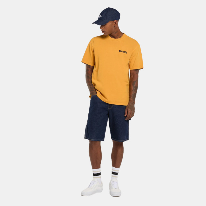 Tshirt Dickies Darrtown - sneakersconcept-pvz.pt