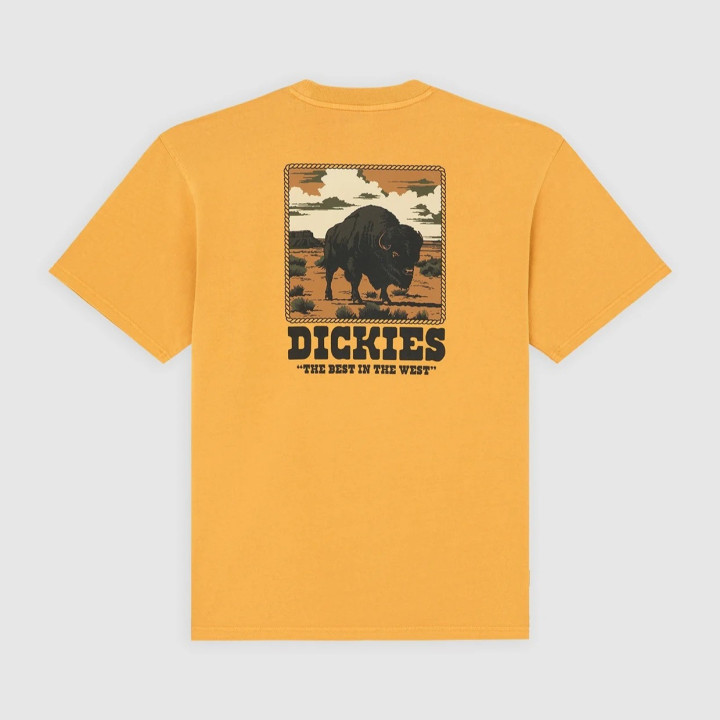 Tshirt Dickies Darrtown - sneakersconcept-pvz.pt